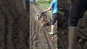 Культиватор Крот и самодельная картофелекопалка