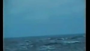 Гремиха, уход ...