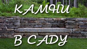Камни в саду.mp4