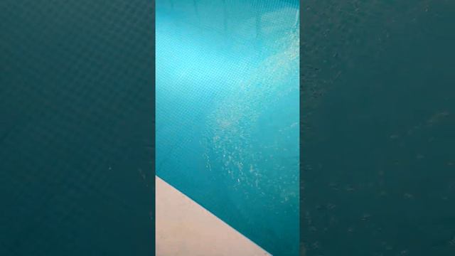 24.07.2022 40 мл Green Stop (альгицид)По норме надо в 7-10 дней 75 мл смотреть онлайн