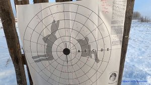 АТА ARMS NEO 12 против BENELLI COMFORT. Тест дробью № 6