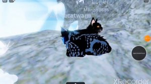 коты воители meme Роблокс #роблокс #котывоители