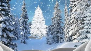 Полонез - Чиж&Со (песня под гитару)