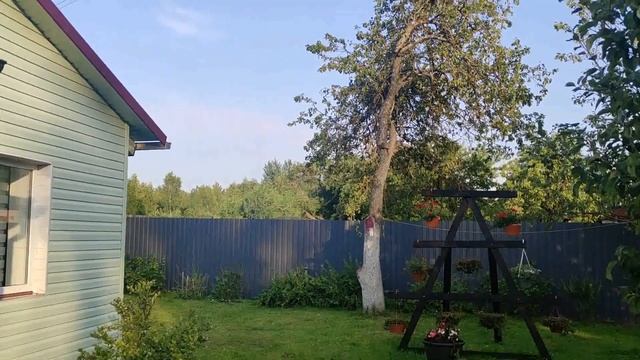 Петуния на террасе делаем обрезку . Поливаем цветы удобрениями . Обзор сада и огорода 21 июля 2022