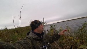 ОХОТА НА ГУСЯ ОСЕНЬ 2023 / Волшебные чучела и гуси садятся на голову.