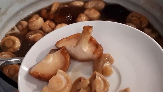 Грибы посолила ,что получилось.....#грибы#солёные# смотреть онлайн