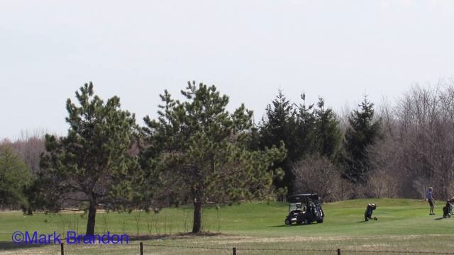 National Research Council De Havilland Canada DHC-6 Twin Otter (DHC6) in Ottawa смотреть онлайн