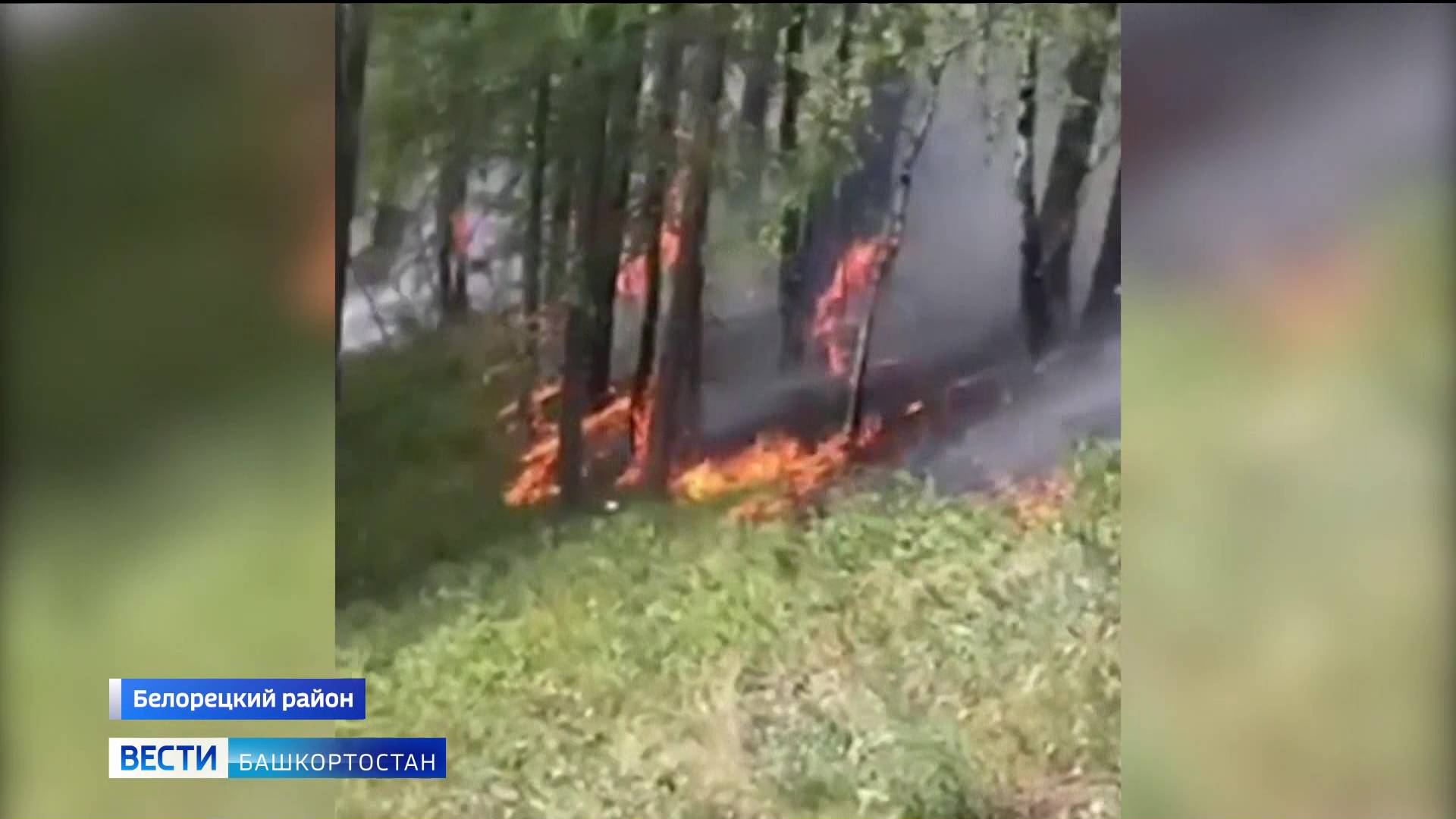 В Белорецком районе Башкирии продолжает бушевать природный пожар на площади 80 га