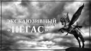 Лучший нож России 2022  ПЕГАС от Свиридова Владимира (Магадан).