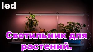 Освещение растений. Светильник для растений светодиодный линейный. Led.