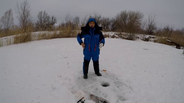 Форель поймать легче чем купить! Форелевое хозяйство в Хрящевке, Самарская область.