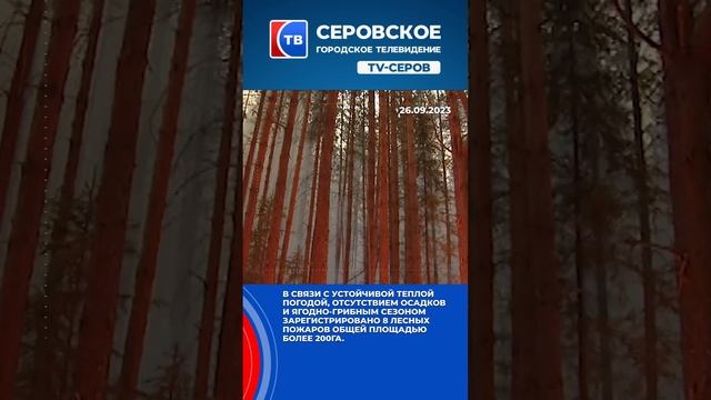 С 26 сентября вводиться противопожарный режим на территории Серовского городского округа до особого