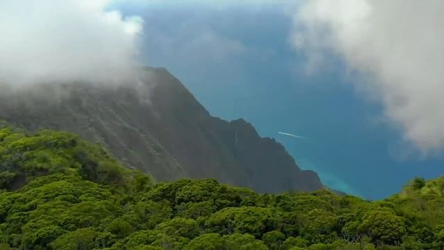 Healing Your Mind, Body And Spirit ? Native American Flute Music for Meditation, Deep Sleep смотреть онлайн