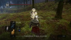 Сигмаер из Катарины: Dark Souls / Дарк Соулс квест Сигмаера