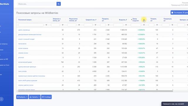 SellerStats - Поисковые запросы