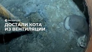 Достали кота из вентиляции