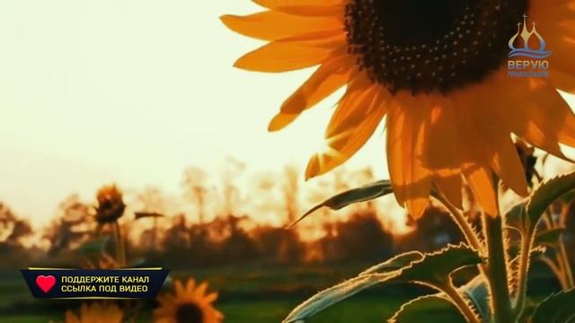 ? Часть 10 - Свящ. Антоний. О молитве Иисусовой. #Верую_православие