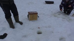 КЛЕВ ОГРОМНОЙ ПЛОТВЫ ! ЯМАЛ ! ПЕРВАЯ ЧАСТЬ!