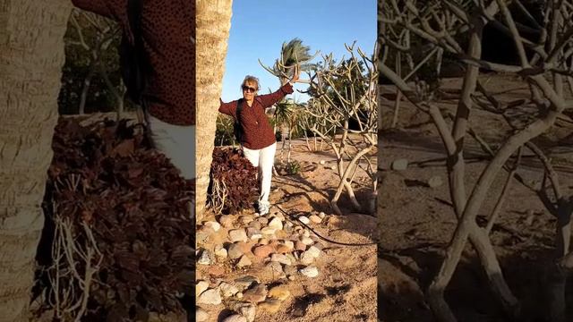 счастливые моменты смотреть онлайн