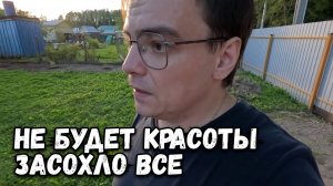 Приехал на дачу, а там все мои посадки засохли. Такой себе я дачник