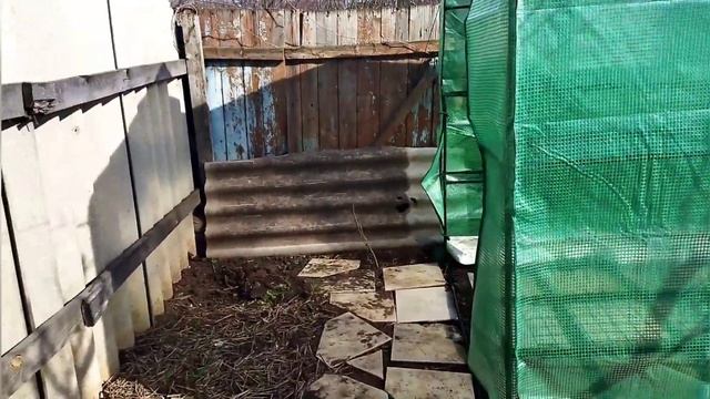 Теплиця розсадник. Попрацювала на городі. Розсада.