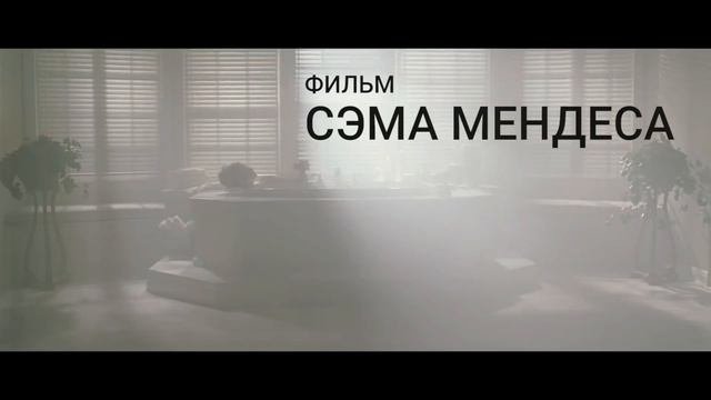 American Beauty / Красота по-американски - на большом экране в Москве и Петербурге