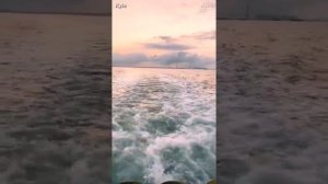 Влог Шуги на рыбалке с Джином