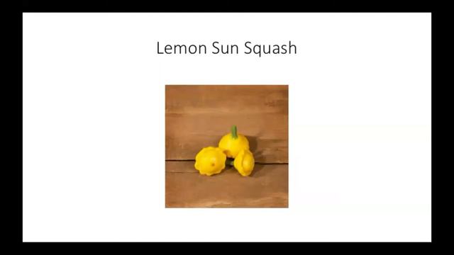 New Plant Varieties for 2021 смотреть онлайн