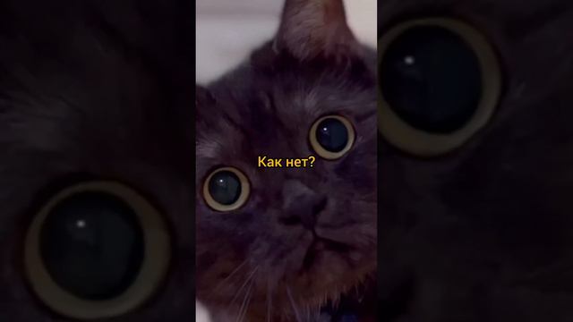 Шьем летний гардероб в Школе шитья Крою.ру