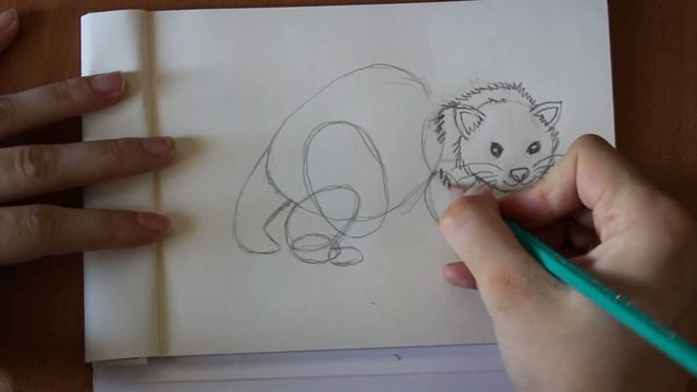 Как нарисовать хорька смотреть онлайн