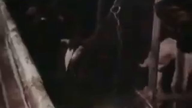 ОРГАНИЧЕСКИЕ УДОБРЕНИЯ - ОСНОВА ПЛОДОРОДИЯ ПОЧВ