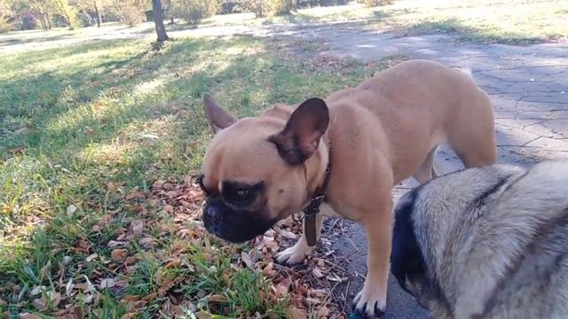 КАКОЕ НЕБО ГОЛУБОЕ // WHAT A BLUE SKY смотреть онлайн