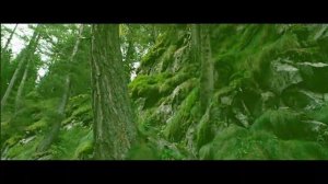 Букашки - обычный сериал? | Мульт-разбор букашек