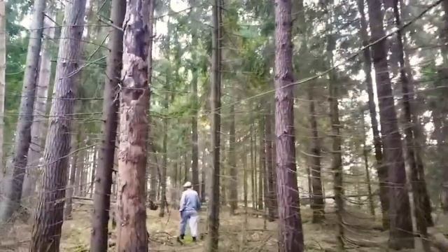 Веселые дачники! смотреть онлайн