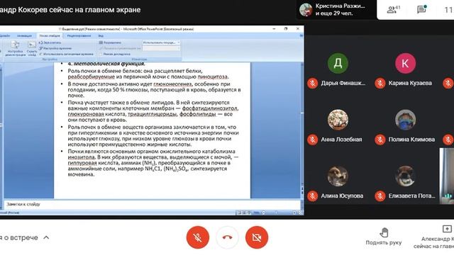 Физиология. Лекция по выделительной системе