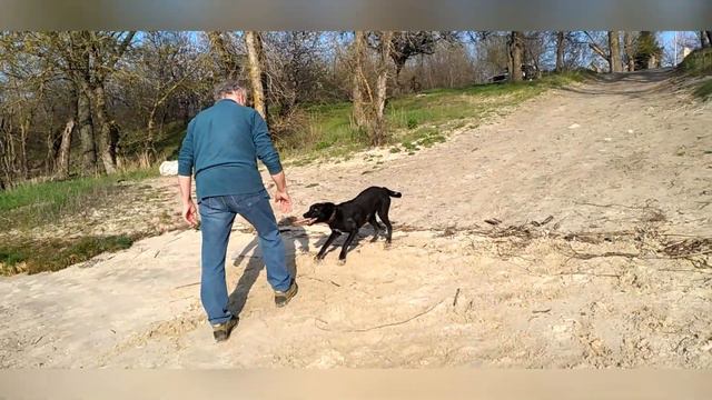 Как резвилась чужая собака, встретив нас на реке смотреть онлайн