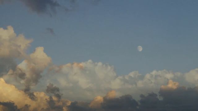 Астрологический прогноз на ноябрь 2023 для всех знаков смотреть онлайн