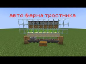 как построить авто ферму тростника в майнкрафте