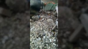 Мастер-класс: как сжечь книгу :-)