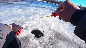 ВСЯ РЫБА СОБРАЛАСЬ НА ЭТОМ ПЯТАКЕ. Зимняя рыбалка 2023.