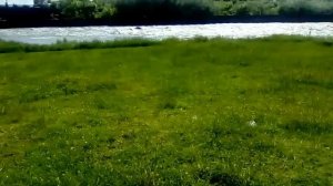 Как лечить одышку и сердечную недостаточность