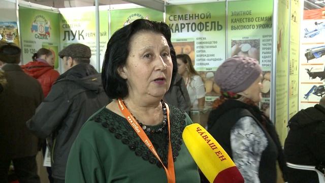 Выбор семенного картофеля высокого качества смотреть онлайн