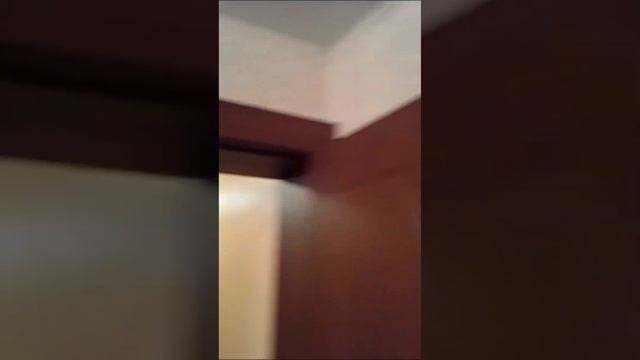 Компания Пенсионер 21 века. Межкомнатные двери, сделано: г. Новокузнецк ул. Климасенко д. 3/2
