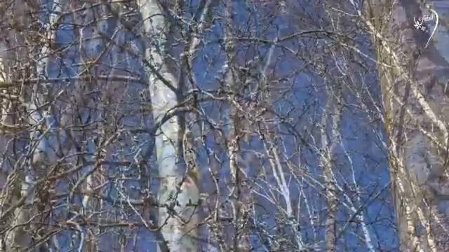 Невероятно красивая! Потрясающая музыка для души! Просто супер! релакс видео