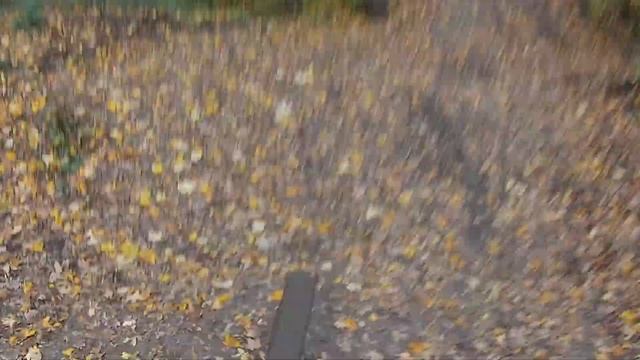 Secrets spots Pasing, Isartrails. Miejscówki na enduro w Monachium смотреть онлайн