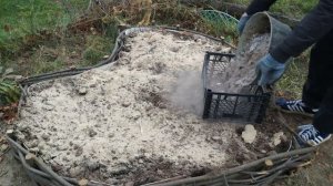 ❤️Плетеная клумба из кустарника в саду❤️Оригинальная клумба на даче.Плодородная грядка в виде сердц