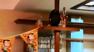 #проектор #экран #кино Установка проектора в школе