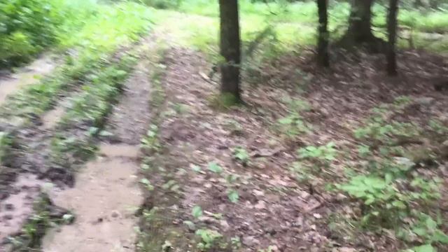 YAMAHA WOLVERINE ТЕСТ ДРАЙВ смотреть онлайн