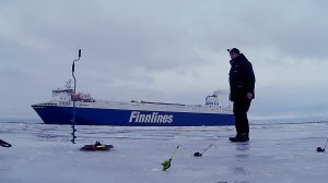 Ловля корюшки в январе. Рыбалка в Ленинградской области.
