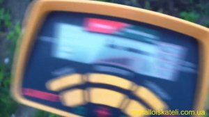 металлоискатель Garrett Euro Ace 350 определяет сорт ягод и тип травы